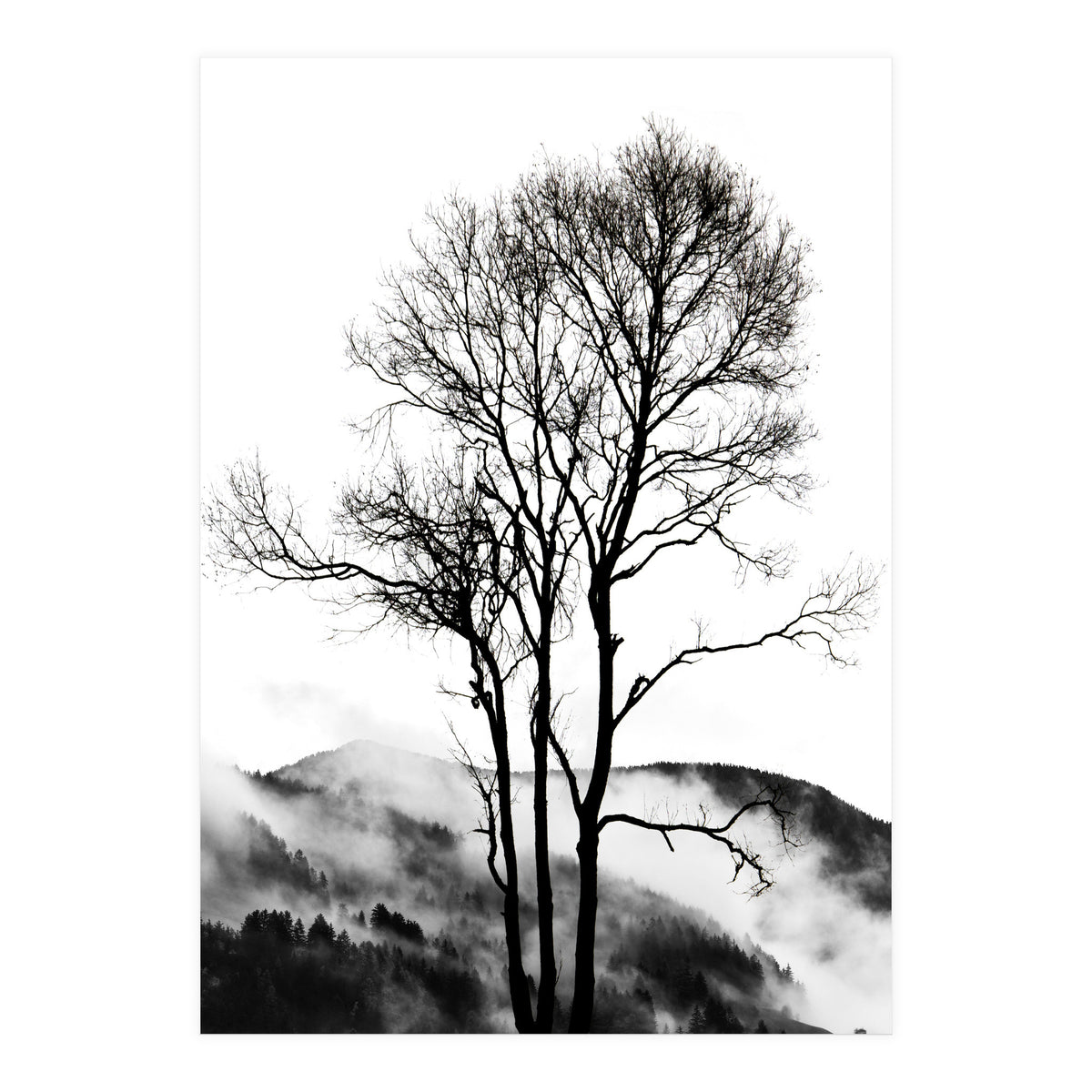 Rocky Mountains (Print Only)