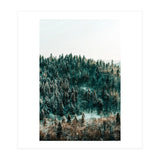 In The Wild (Print Only) thumbnail