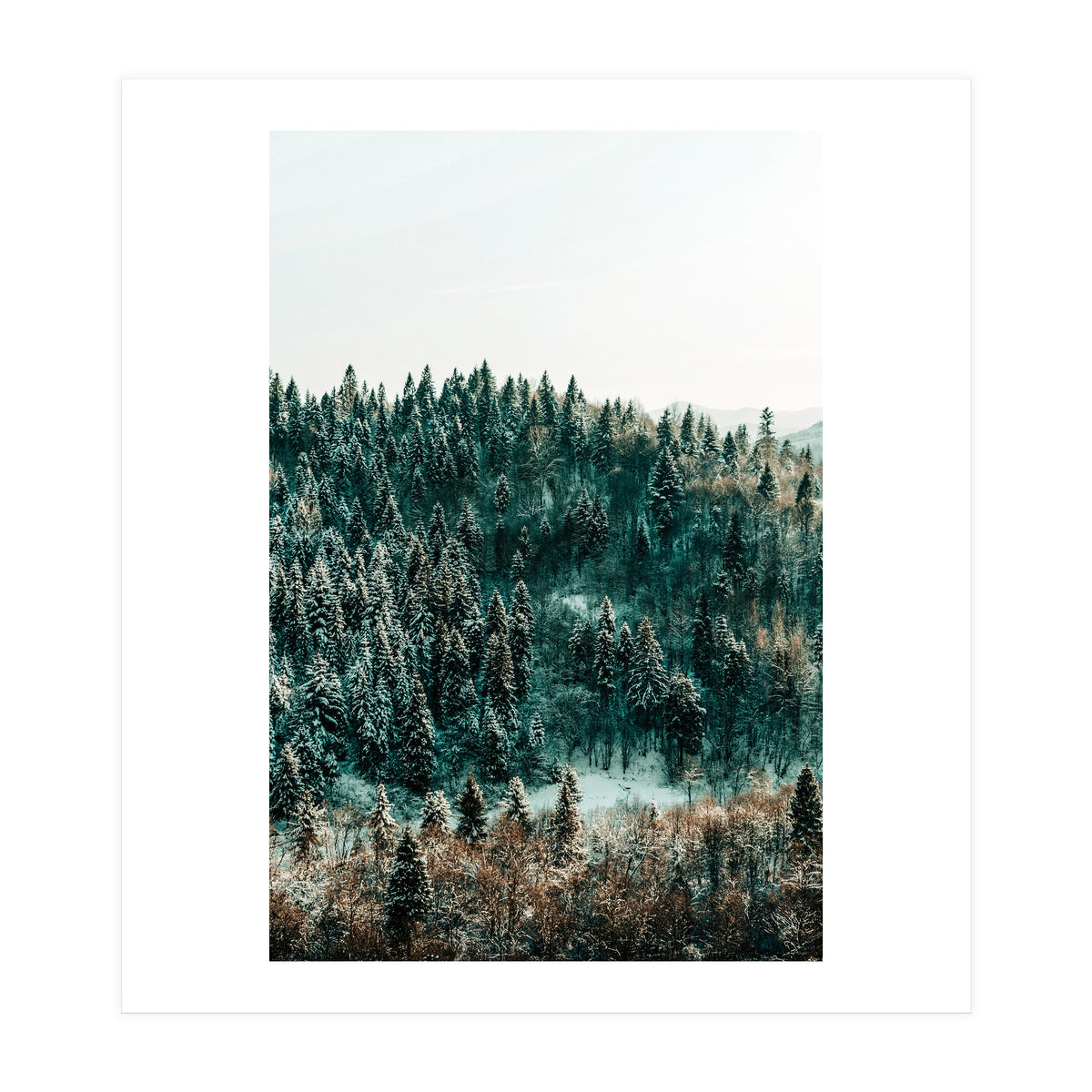 In The Wild (Print Only)