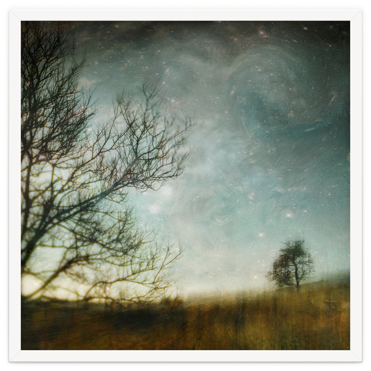 The Tree That Whispered