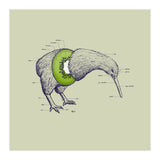 Kiwi Anatomy (Print Only) thumbnail