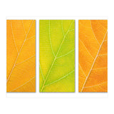 Autumn Leaves (Print Only) thumbnail