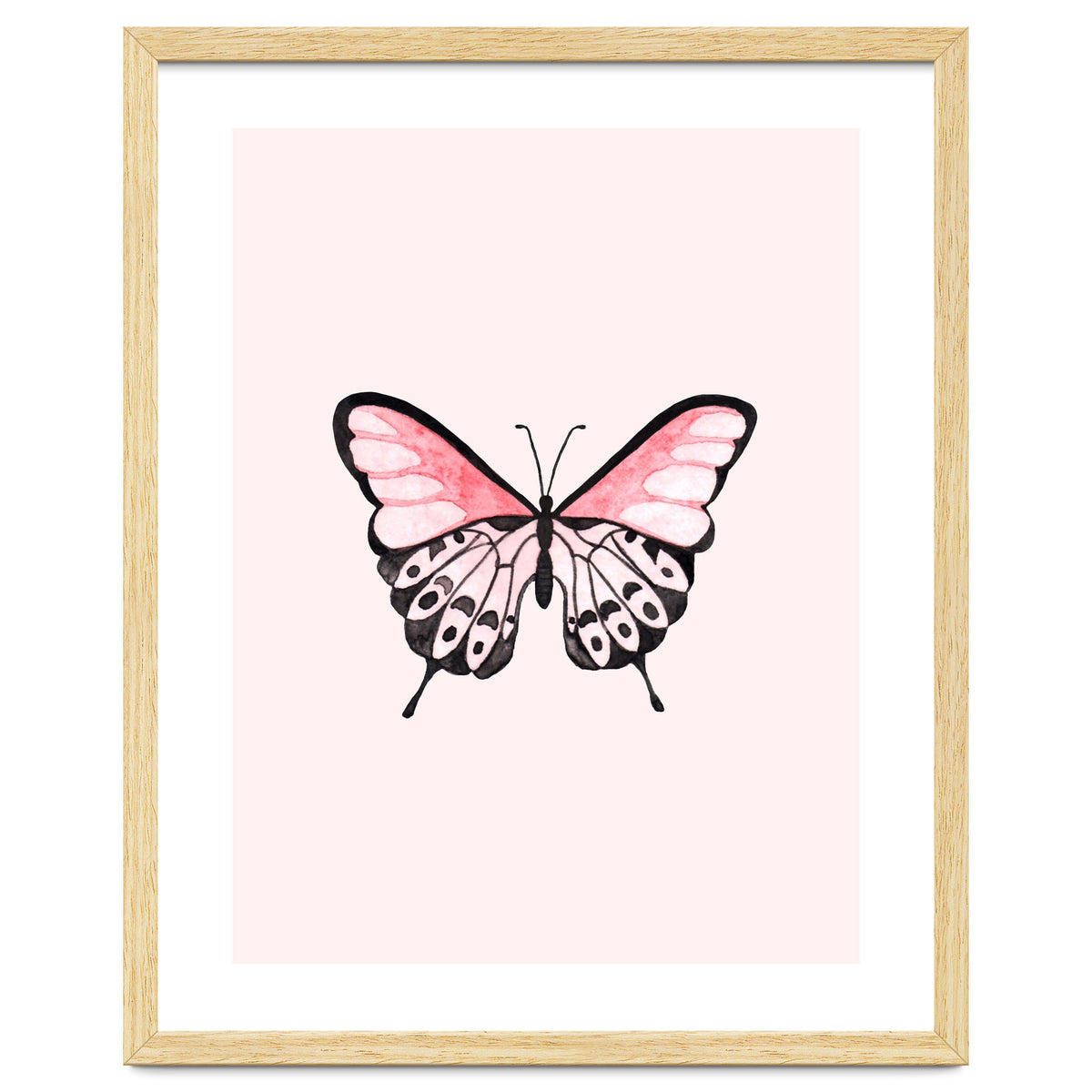 Pink Butterfly