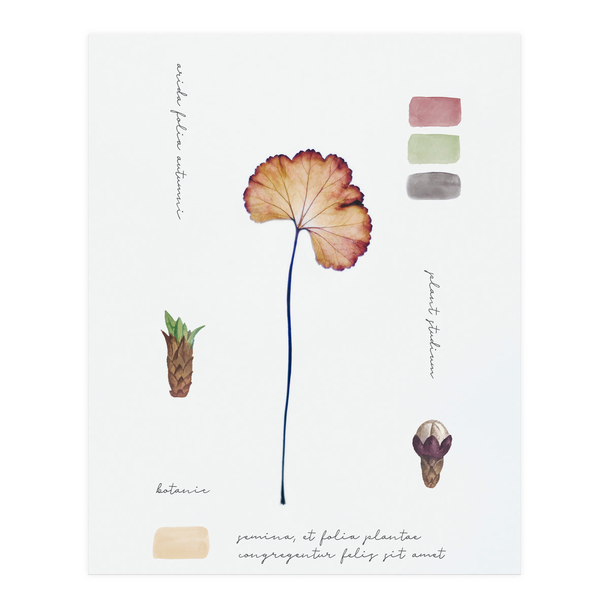 Botanical Notes (Print Only)