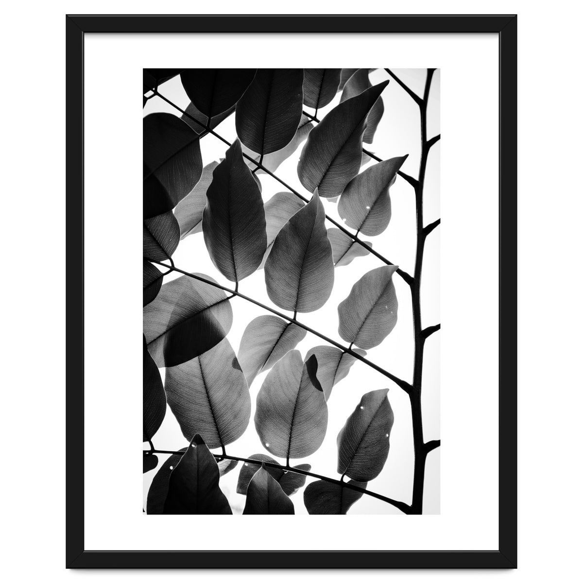 Branches and Leaves II