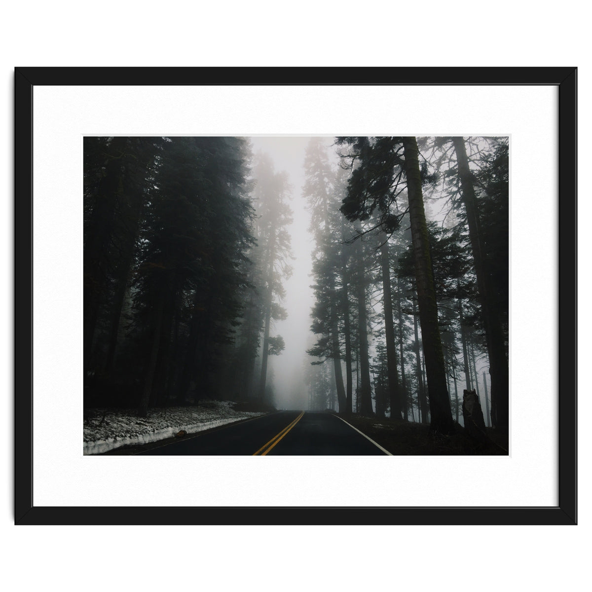 Foggy Yosemite