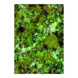 In Disguise (Print Only) thumbnail