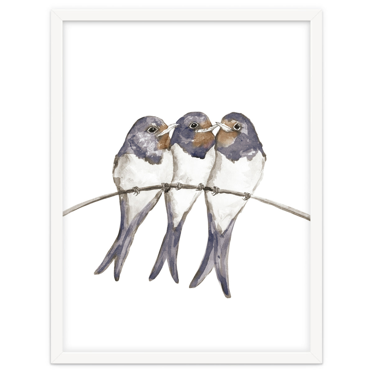 Three young swallows