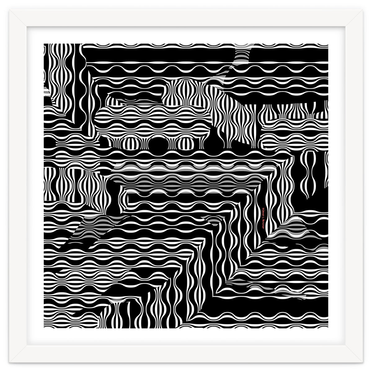 BLACK AND WHITE EXOTIC