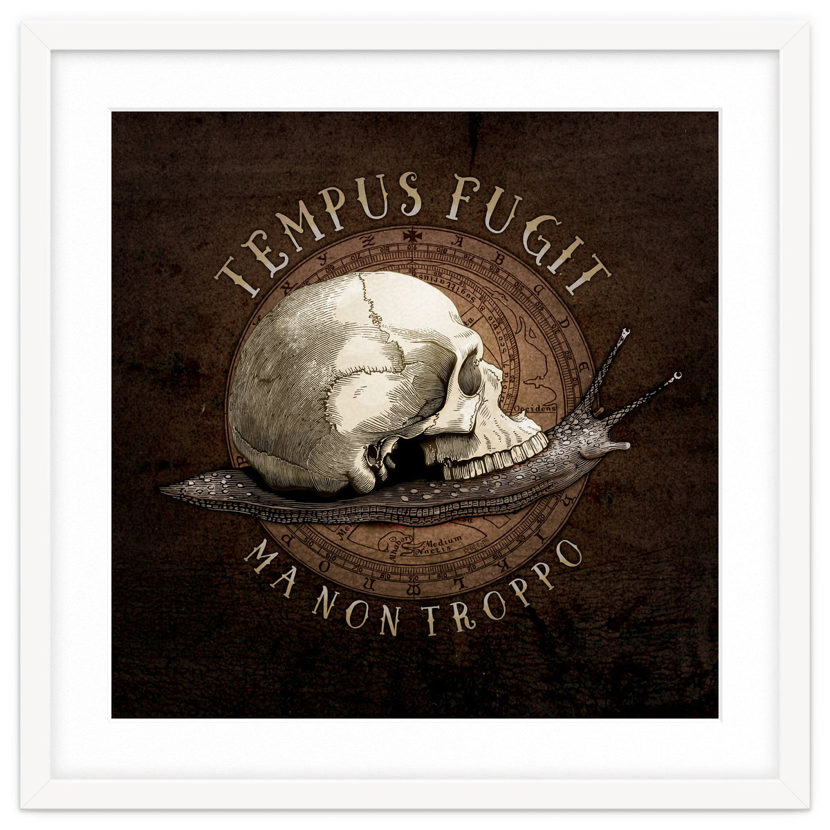 Tempus Fugit (ma non troppo)