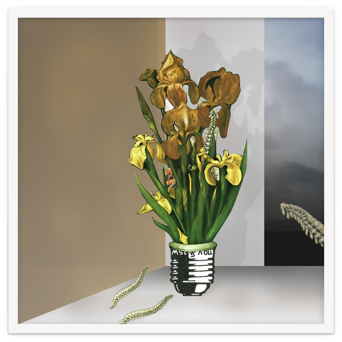 Das Licht Der Pflanze