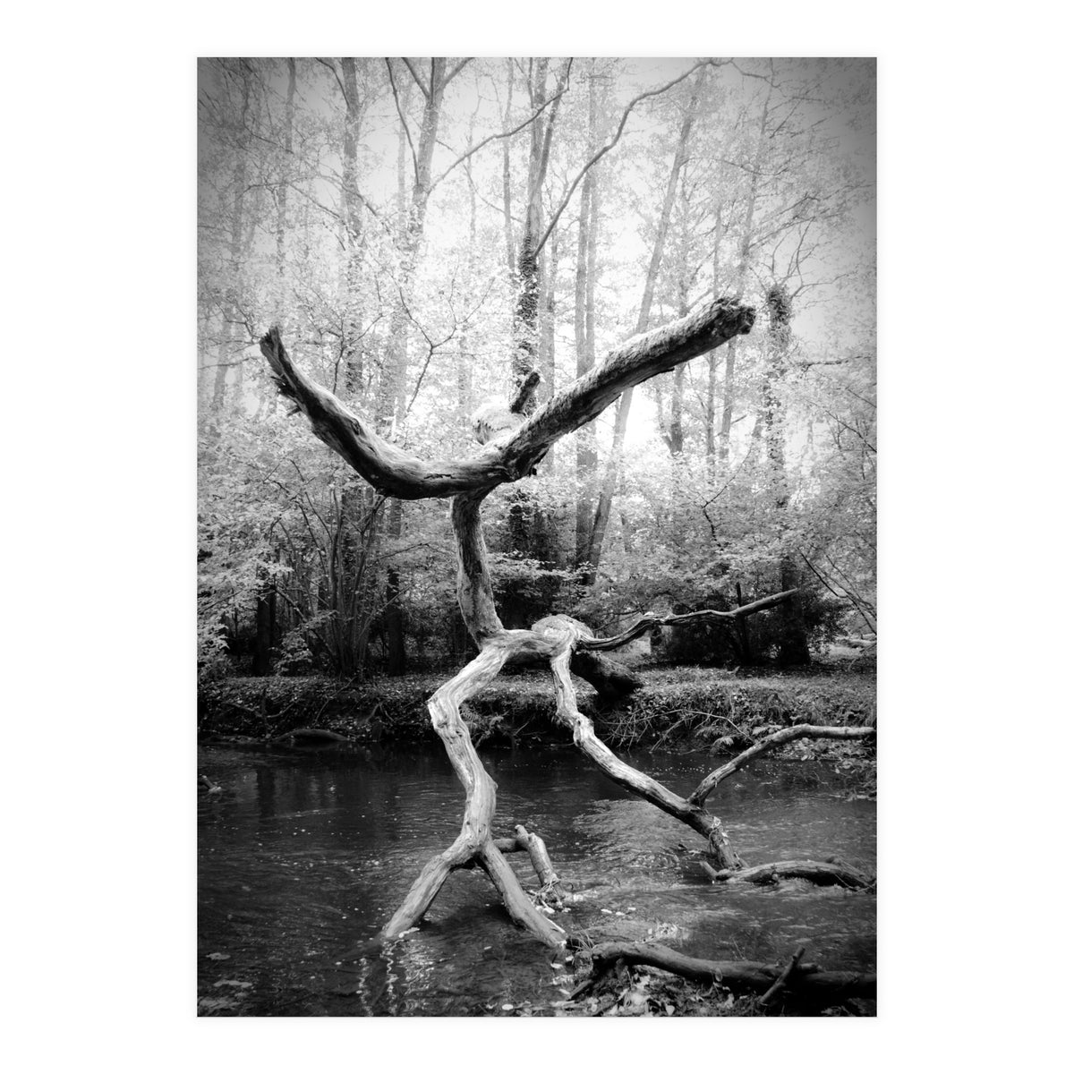 the negotiator (Print Only)