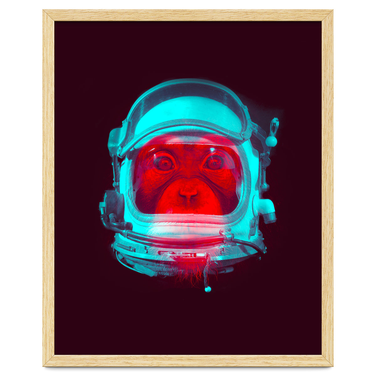 Astronaut