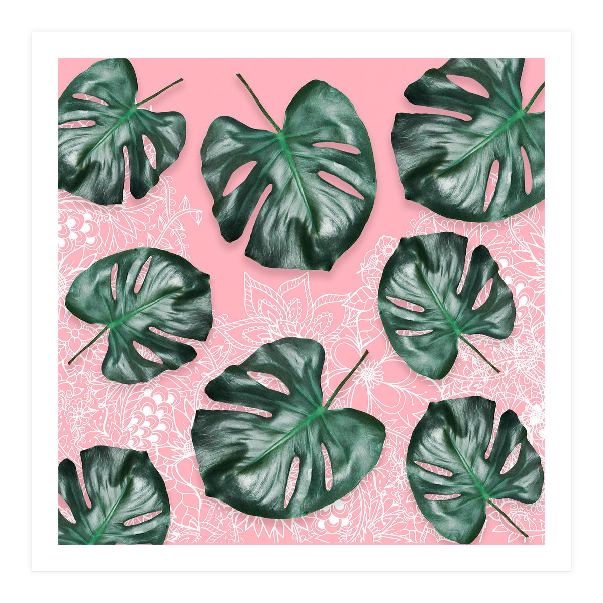 Modern 3d green tropical monstera leaf photo on blush pink white floral illustration (Print Only)