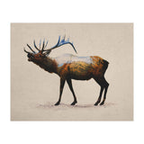 The Rocky Mountain Elk (Print Only) thumbnail