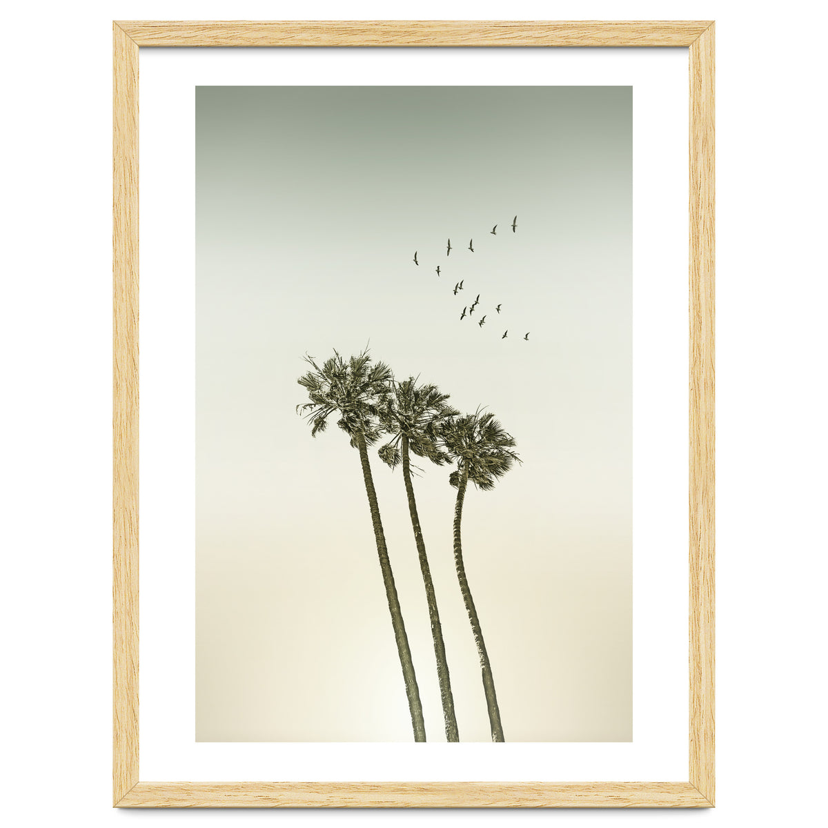 Vintage palm trees at sunset