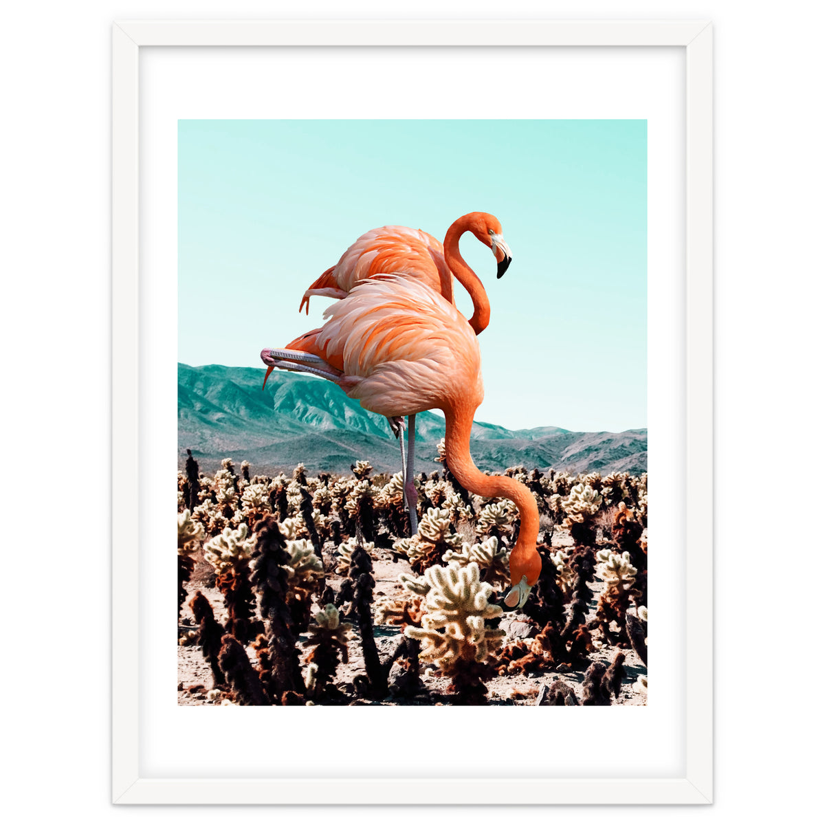 Flamingos In The Desert