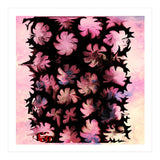 Flowers (Print Only) thumbnail