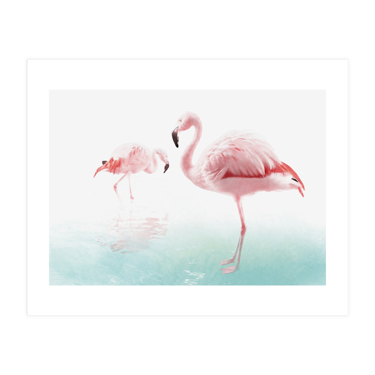 Flamingos (Print Only)