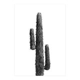 Cactus Black and White 01 (Print Only) thumbnail