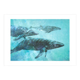 Pod (Print Only) thumbnail