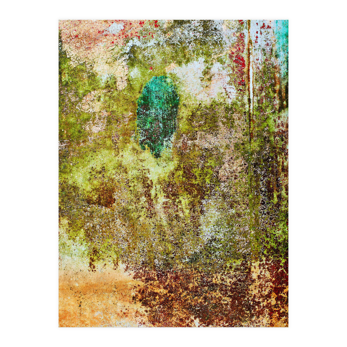 Oak (Print Only)