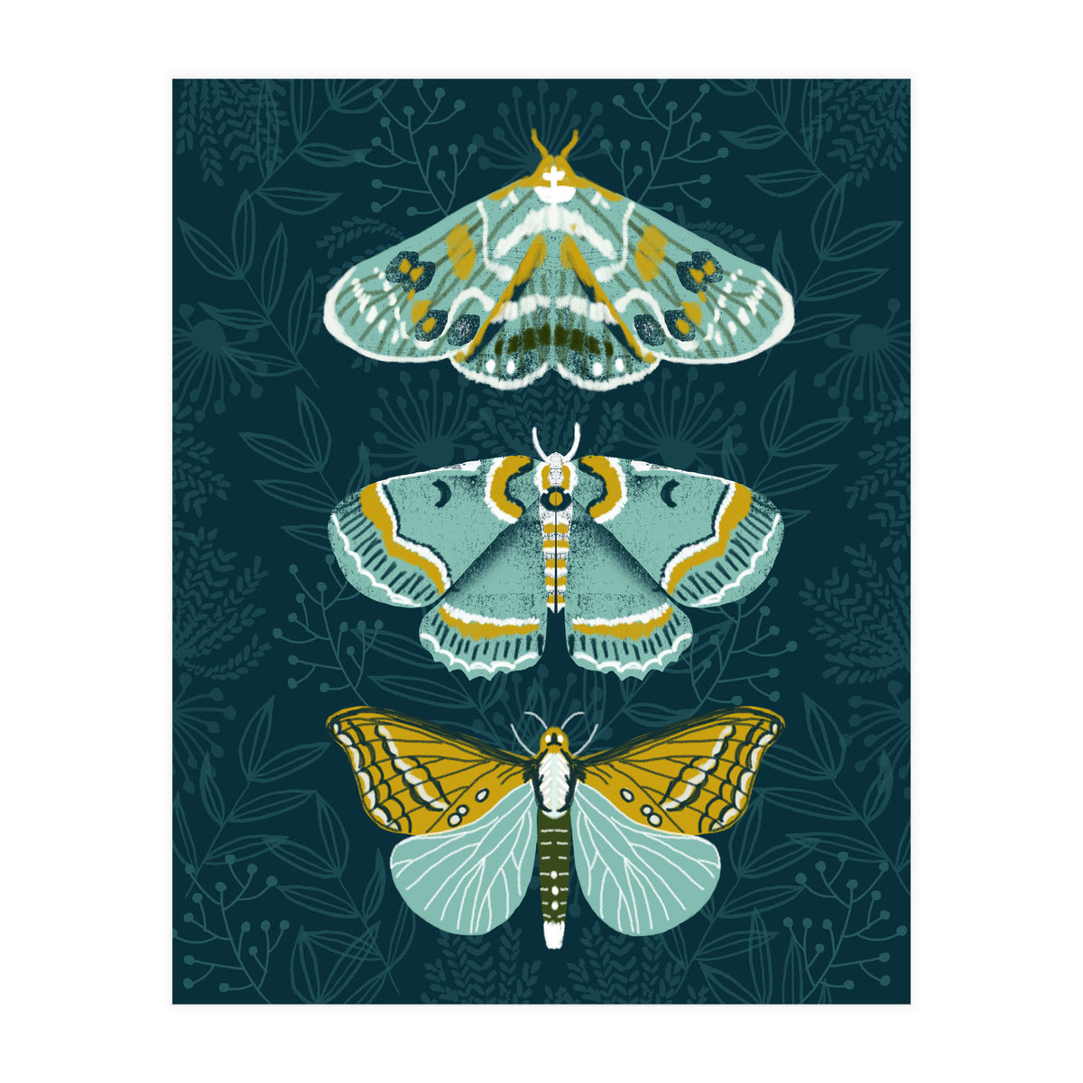 Lepidoptery8 (Print Only)