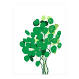 Pilea (Print Only) thumbnail