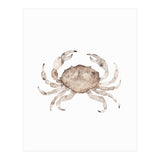 Crab (Print Only) thumbnail