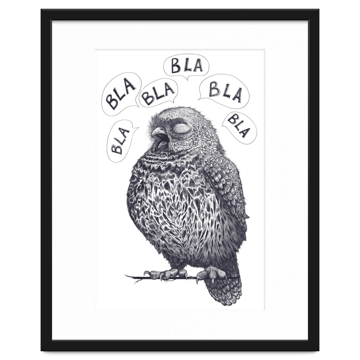 Owl Bla Bla Bla