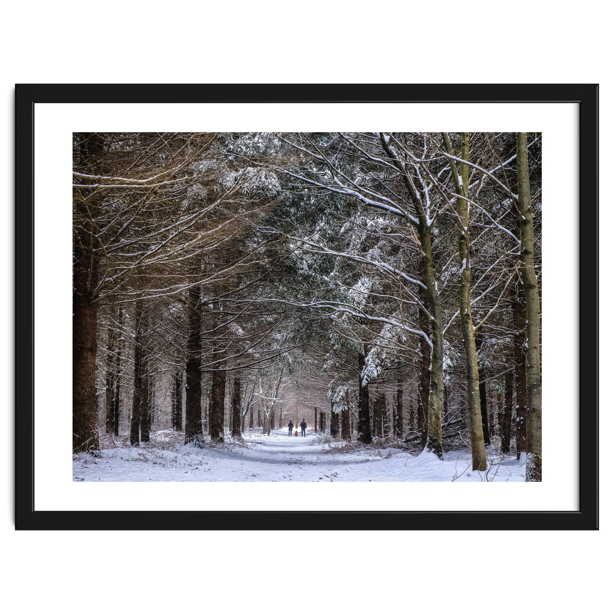 Dog Walkers in the Snow.  Heath Warren - Hampshire