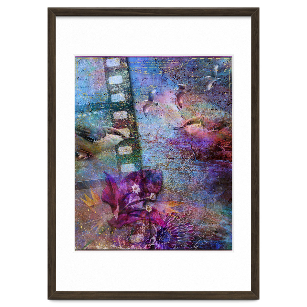 Watching the Wild World