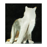 KatzenJammer 11 (Print Only) thumbnail