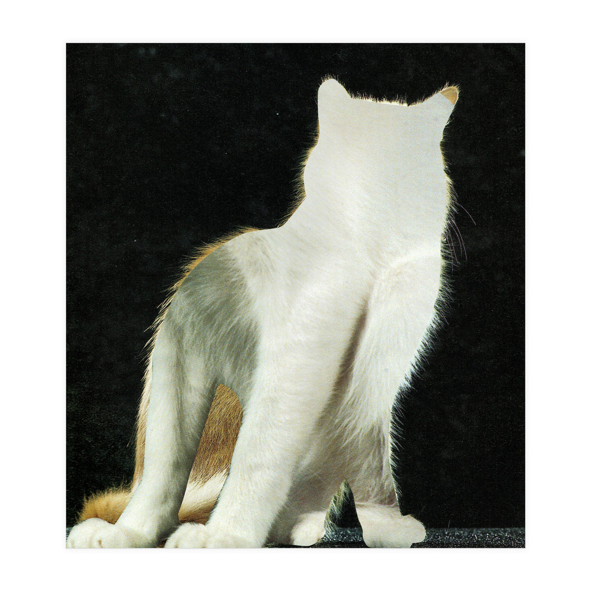 KatzenJammer 11 (Print Only)