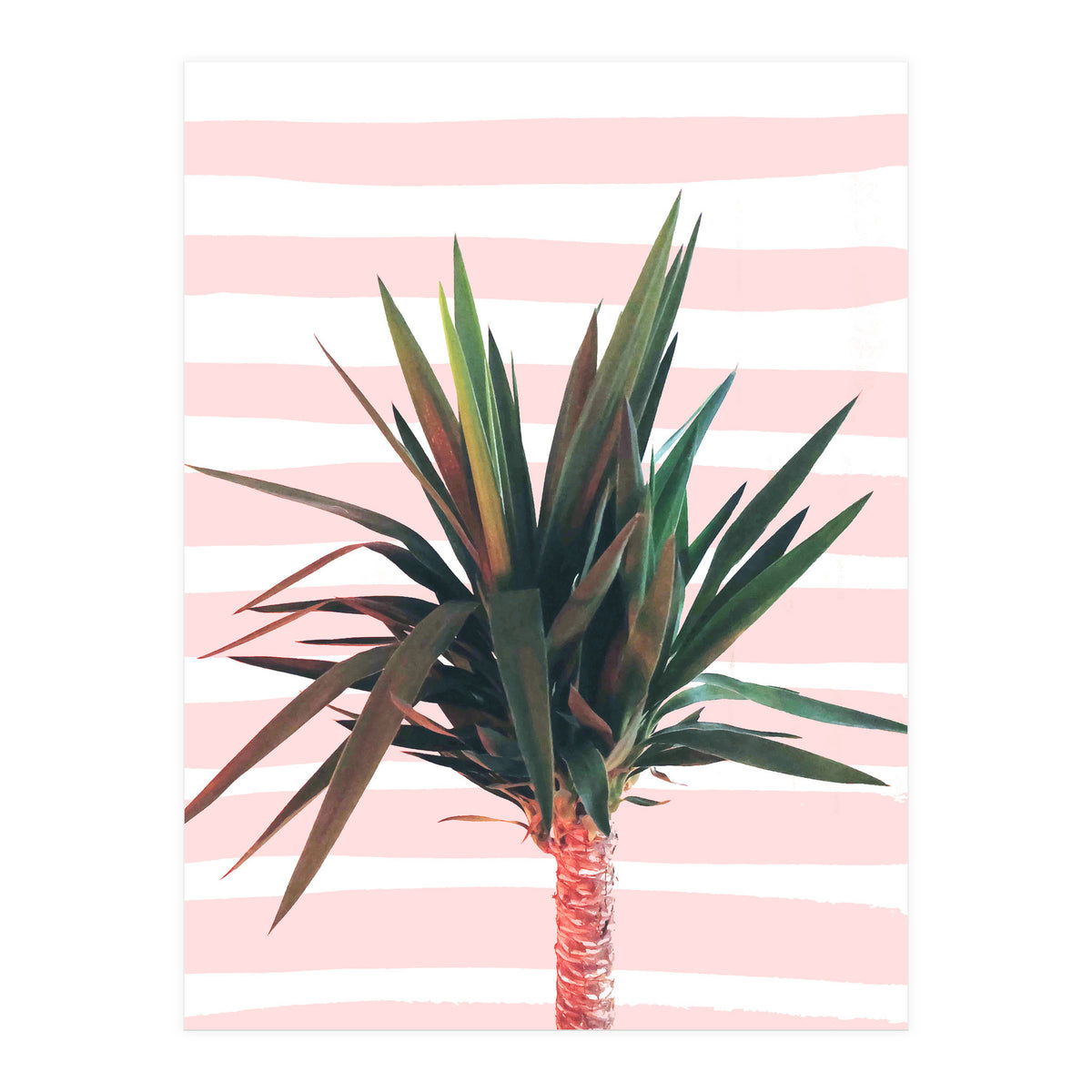 Dreamer (Print Only)