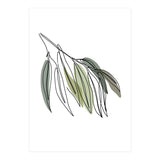 Willow (Print Only) thumbnail