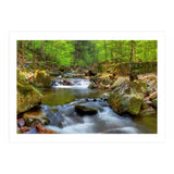 Spring At Harz Moutain (Print Only) thumbnail