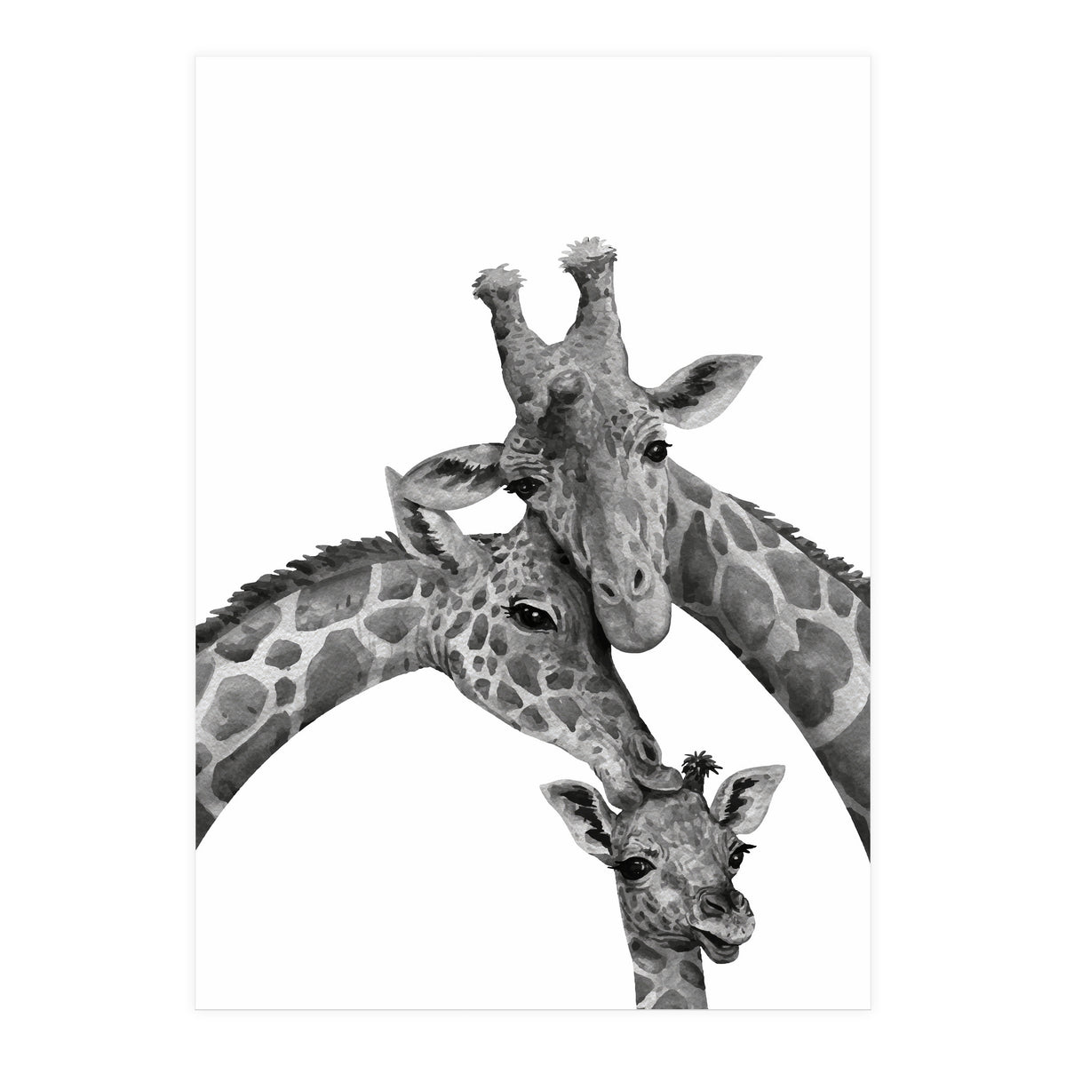 Giraffe Family (Print Only)