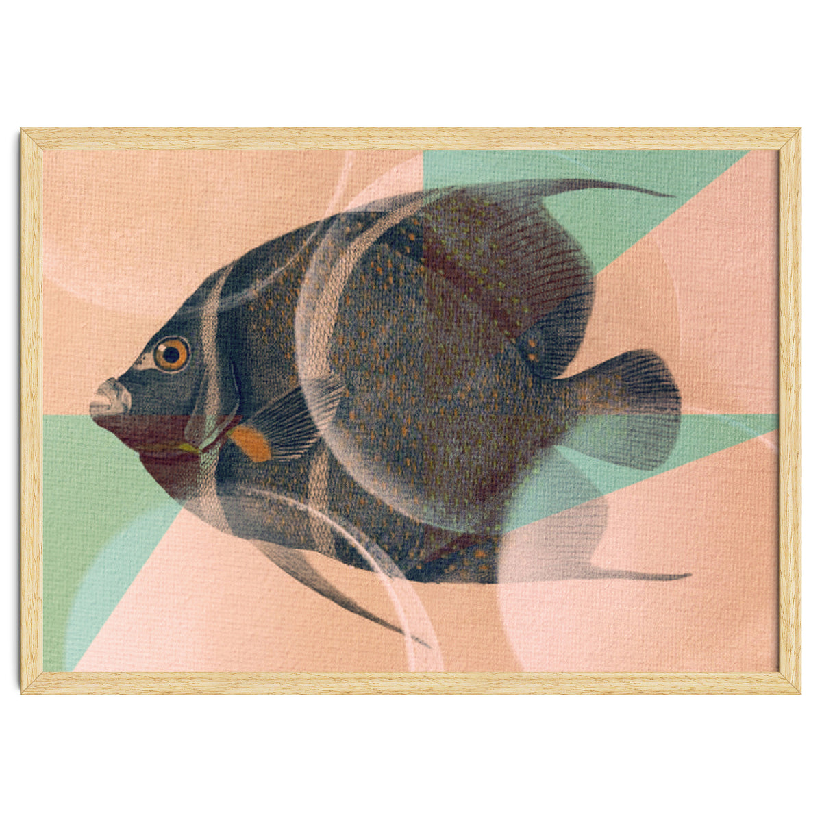 Fish Between Circles 2