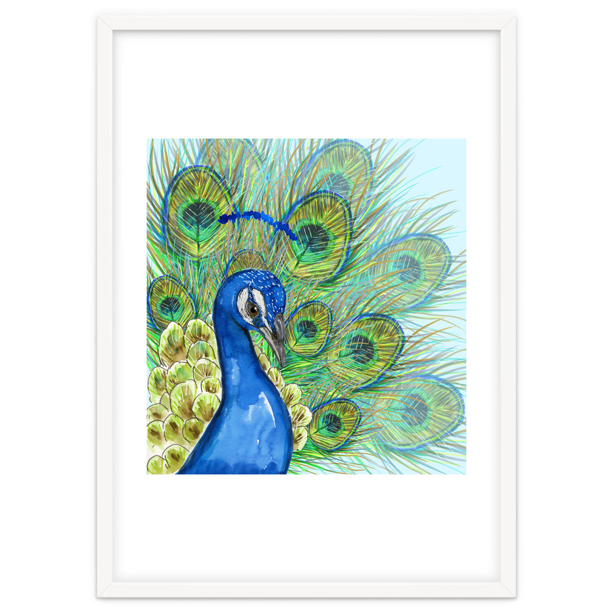 Peacock portrait