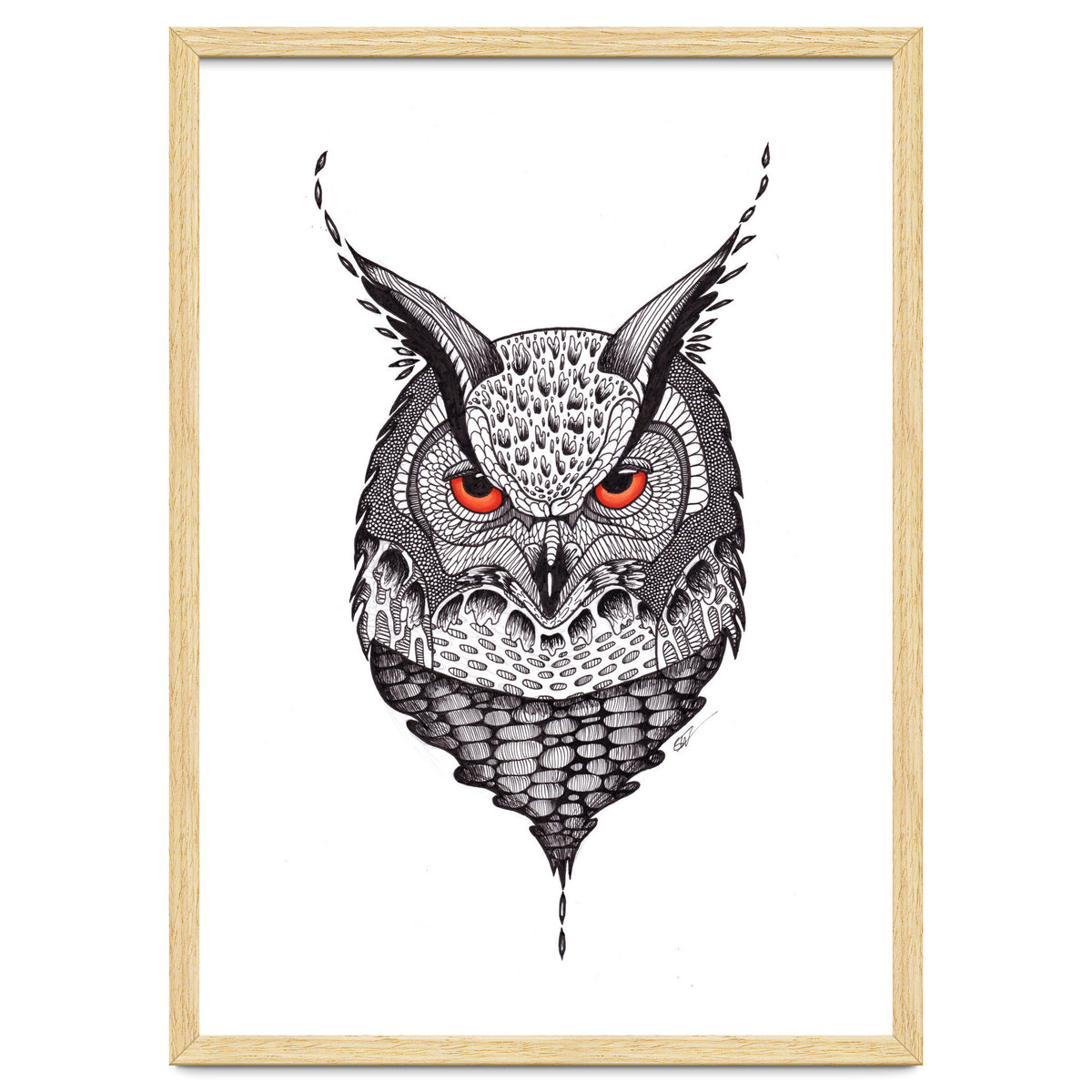 Owl