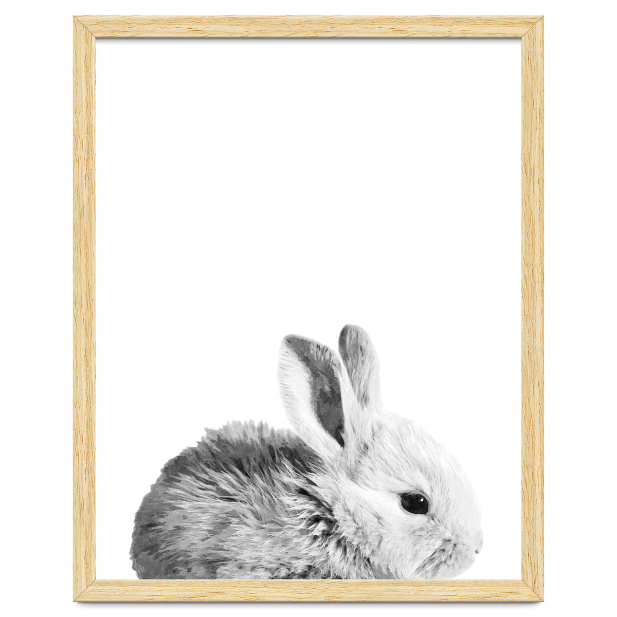 Black and White Bunny Portrait