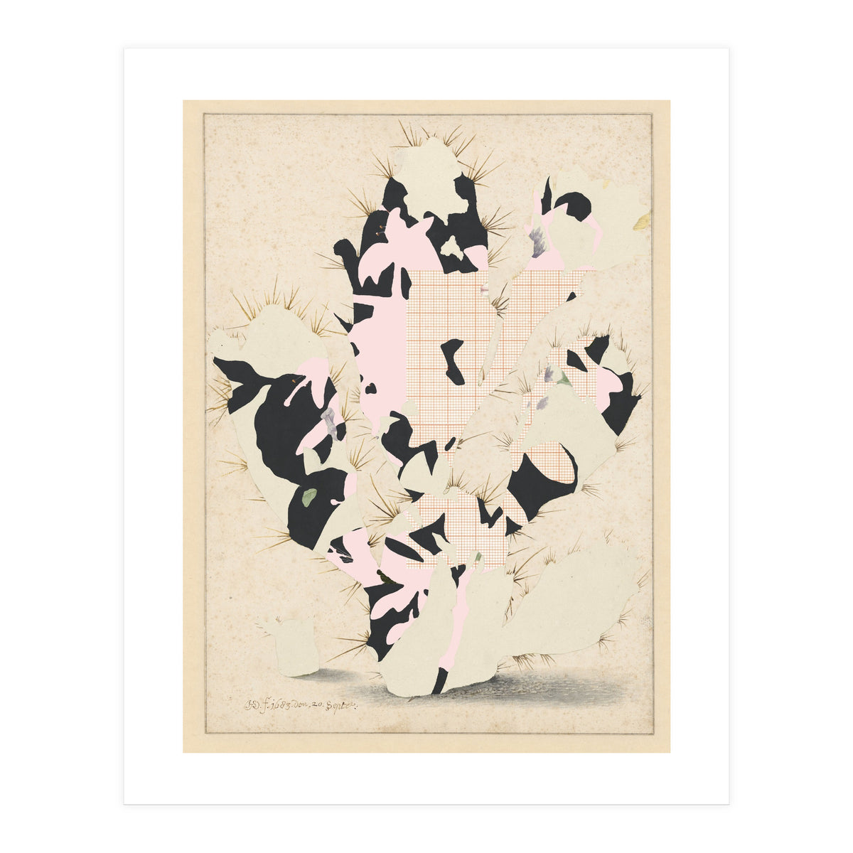 The First Plant · E (Print Only)