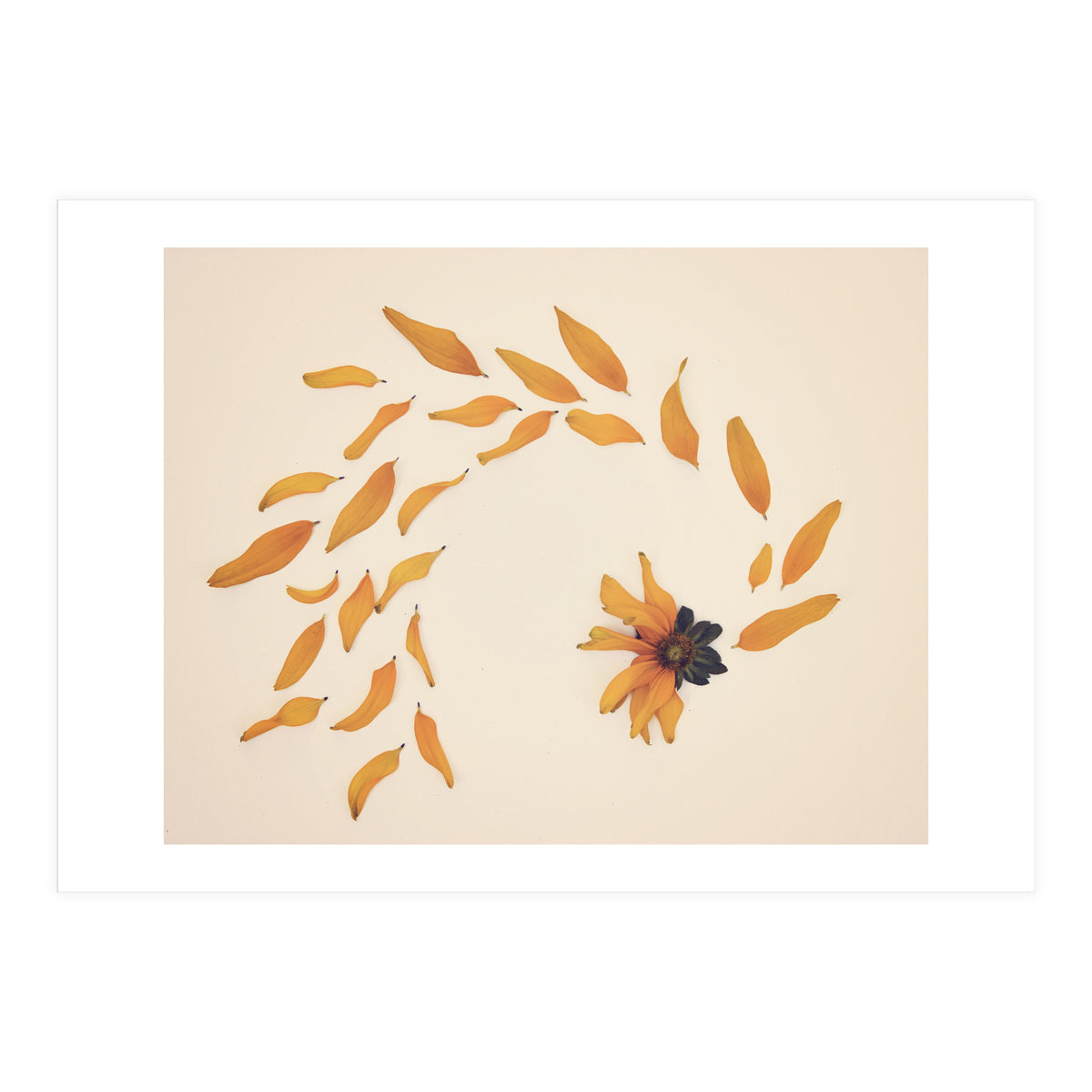 Everything Changed (Print Only)