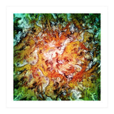 The Natural Light (Print Only) thumbnail
