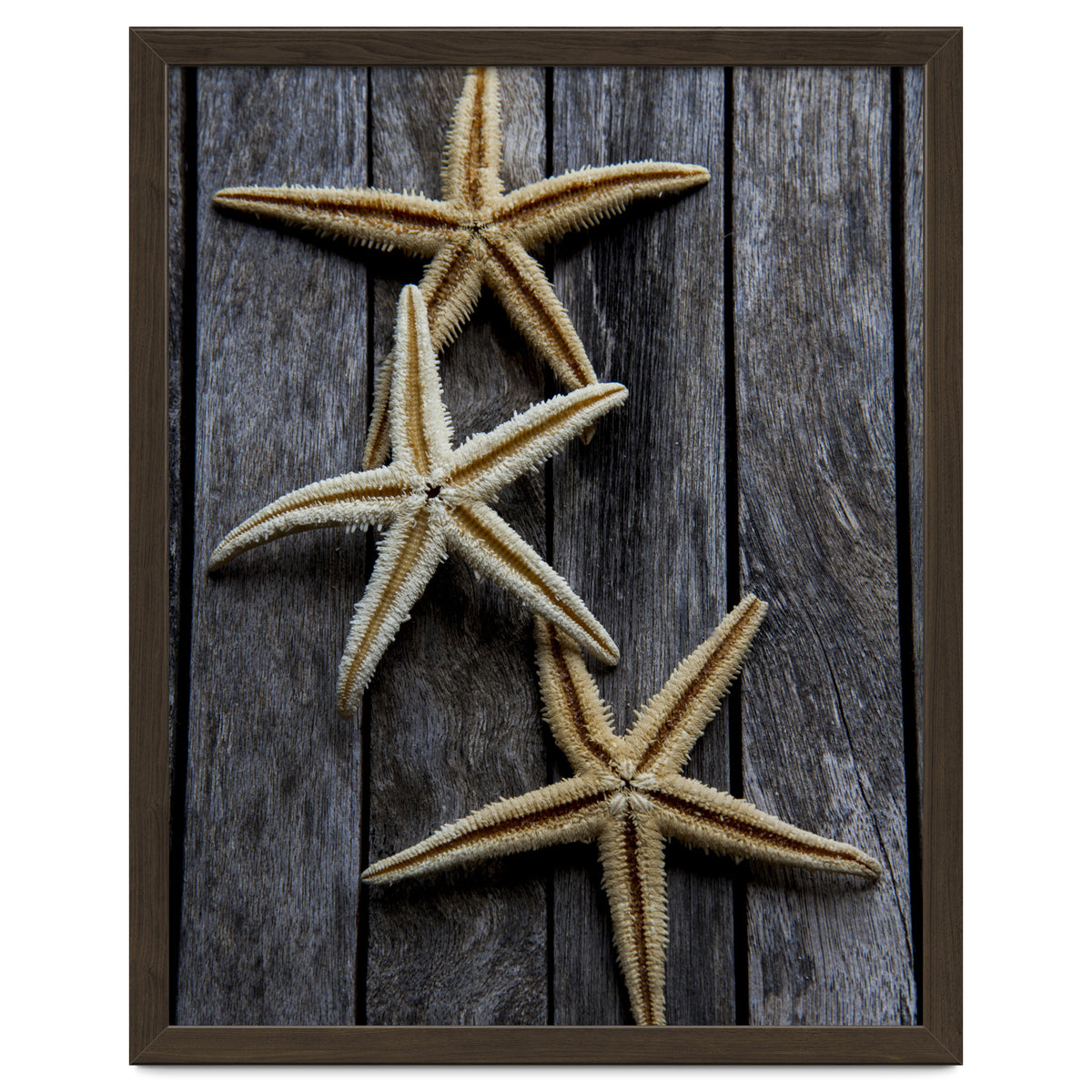 Starfishes in wooden