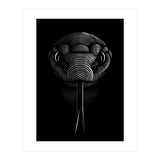 Snake lines (Print Only) thumbnail