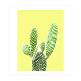 Cactus Yellow Background (Print Only) thumbnail