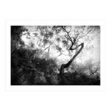 forgetting (Print Only) thumbnail