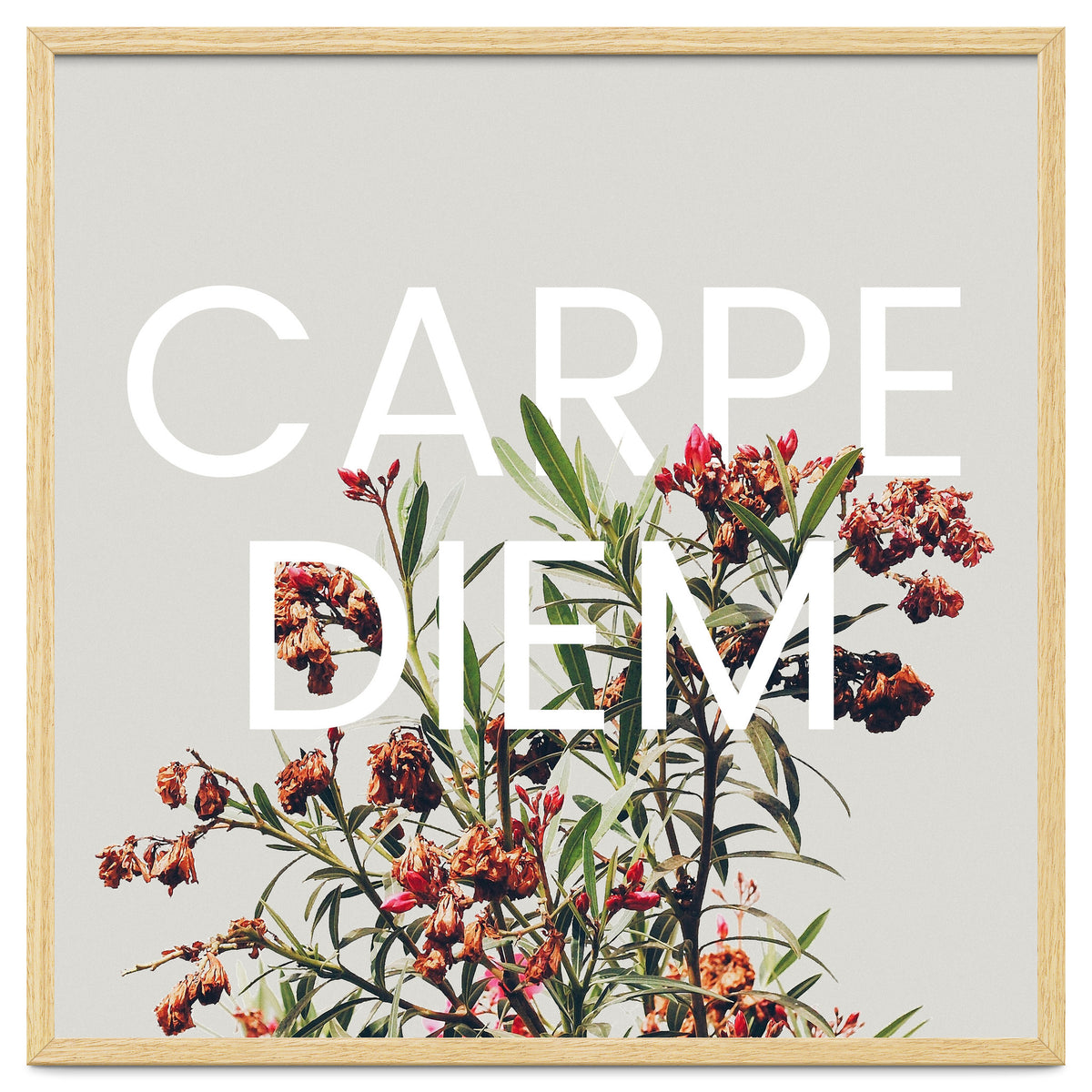 Carpe Diem